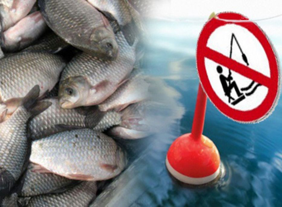 На водоемах Ивановской области вводятся ограничения на рыбную ловлю.