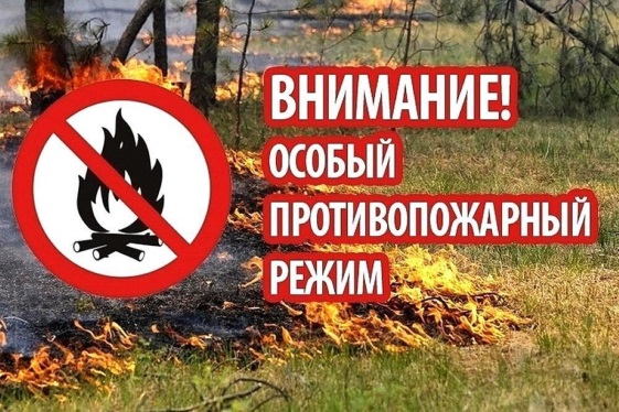 Уважаемые жители и гости Ивановской области! Соблюдайте меры пожарной безопасности в весенне-летний пожароопасный период!.